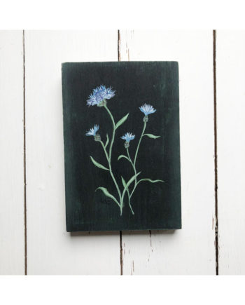 Sarah Becvar original botanical artwork cornflower